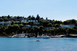 Waterfront properties with boats docked in private slips under vibrant blue skies.