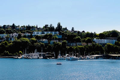 Wide shot of a tranquil marina with yachts and natural park landscape in background.