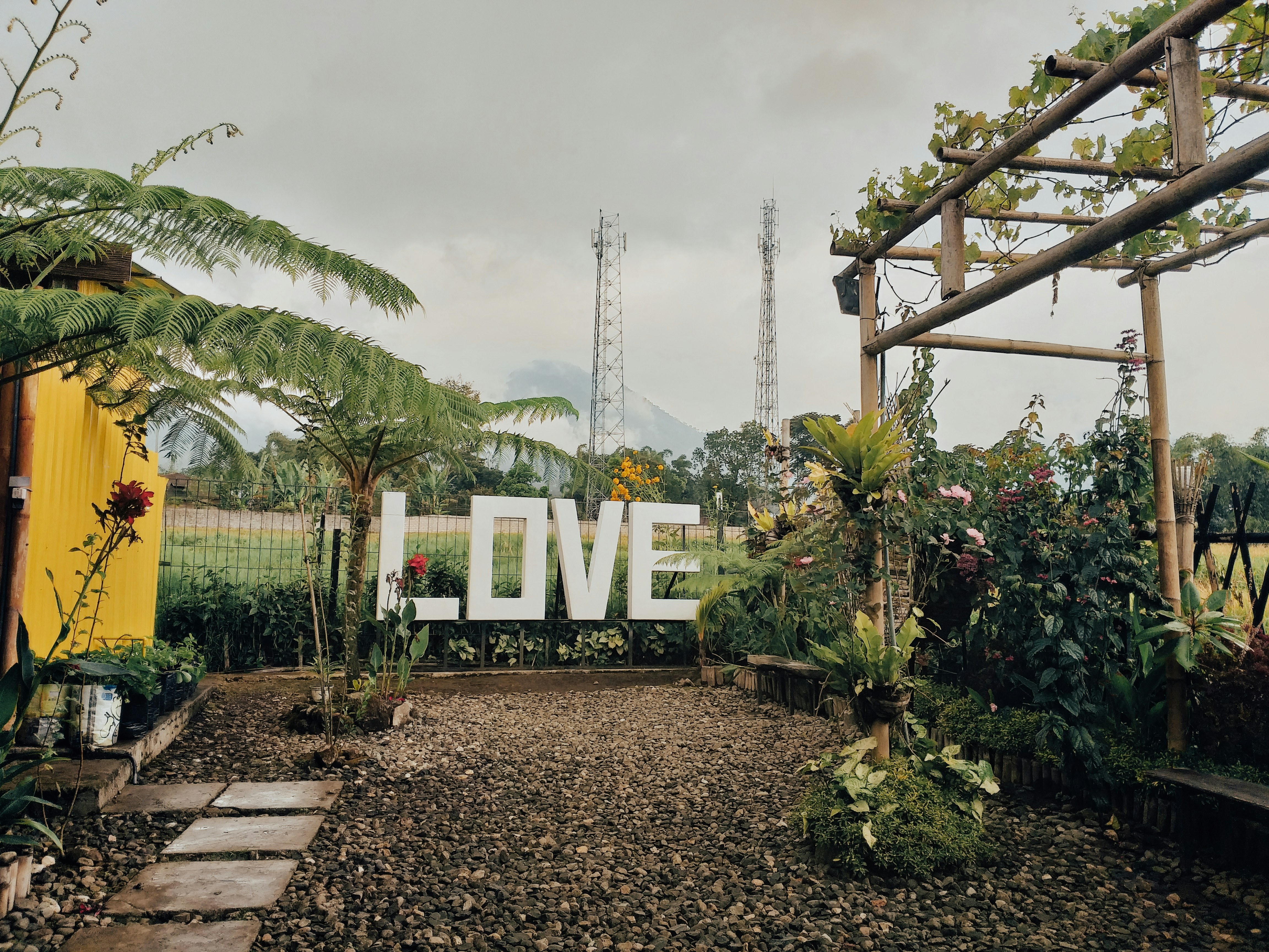 Love Tree Cafe