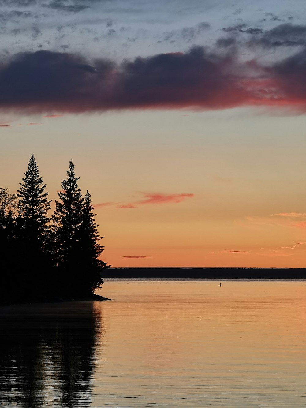 silhouette of trees near body of water during sunset