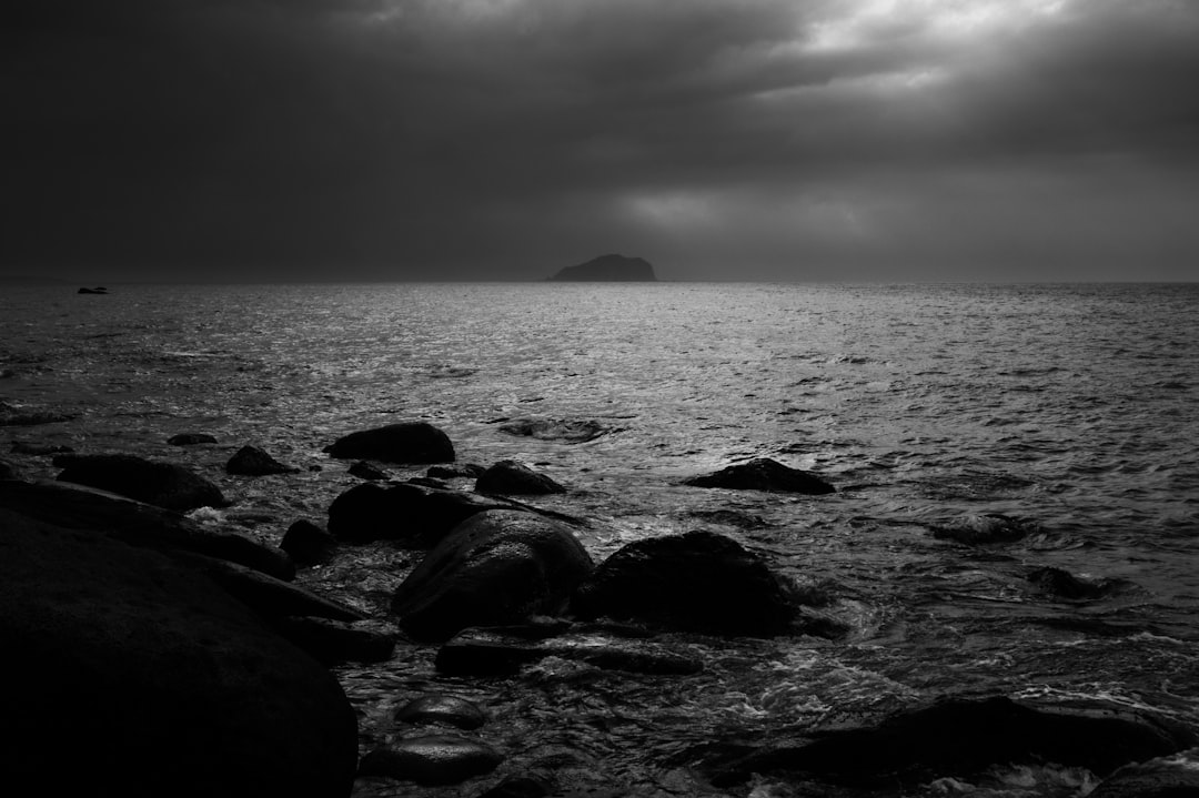 grayscale photo of rocky shore