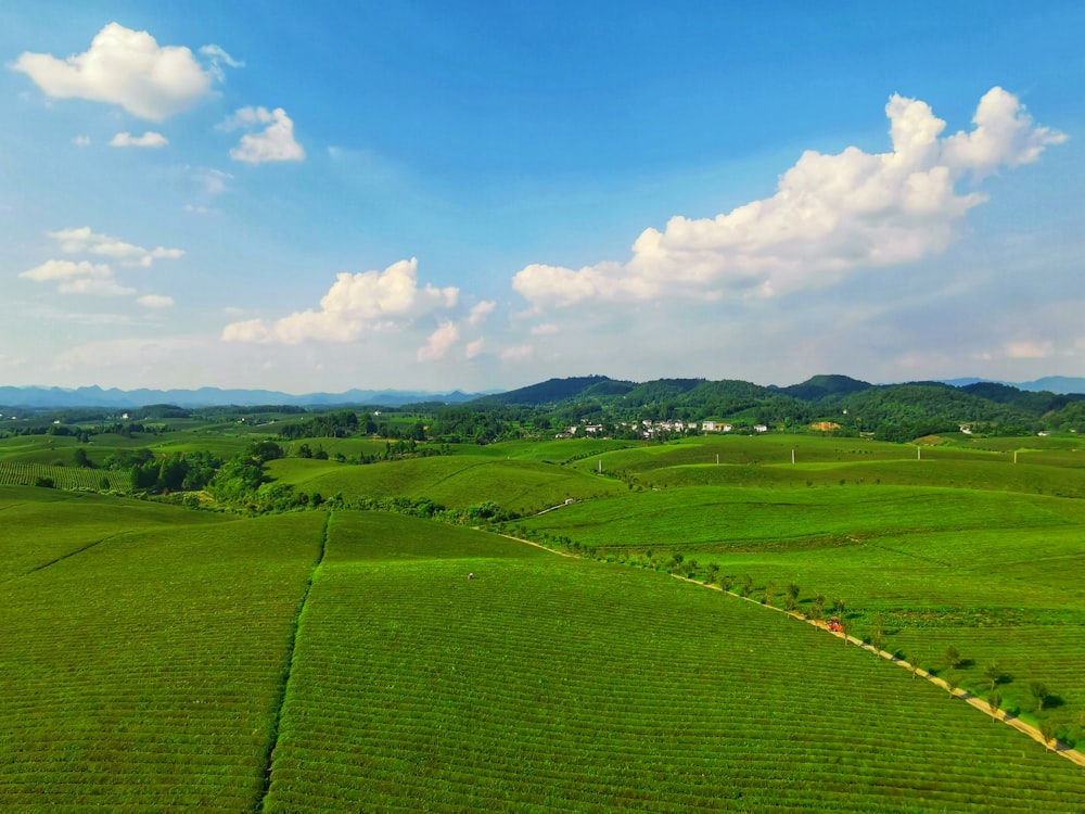 green grass field under blue sky during daytime