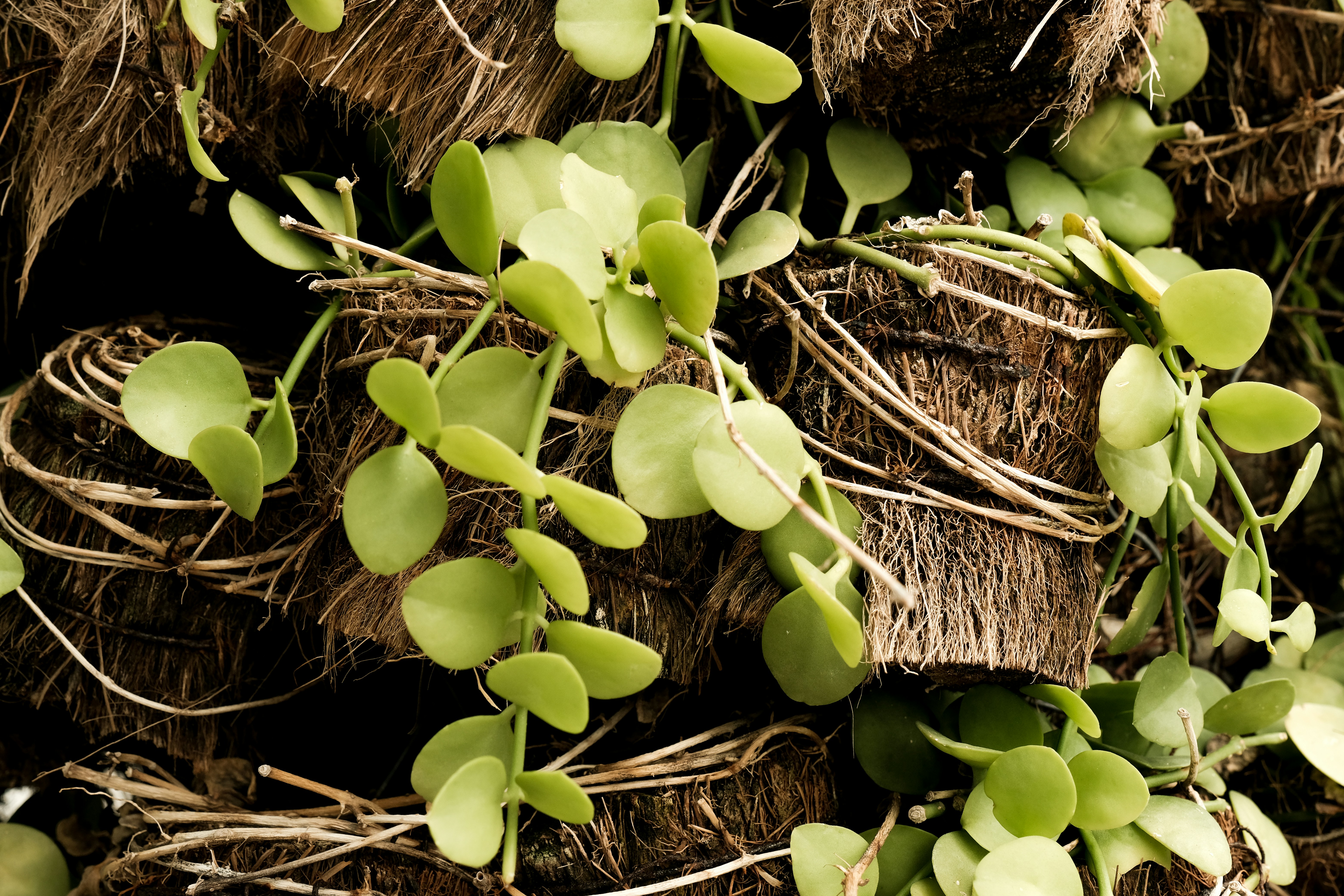 Photo by ryutarouozumi