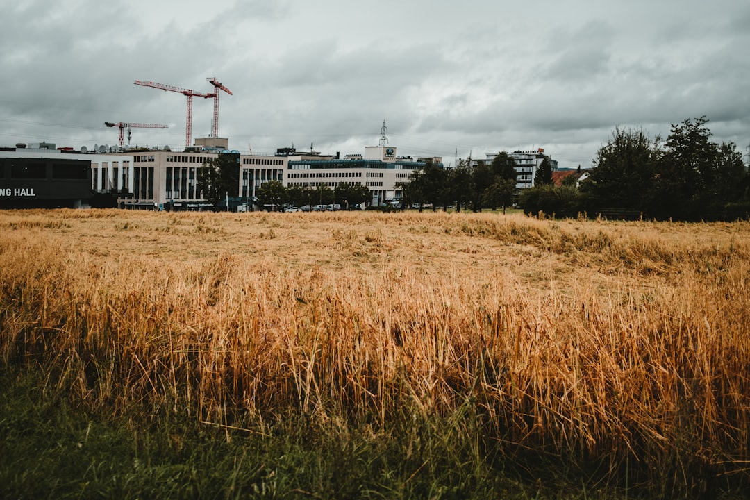 brown grass field near black and white concrete building under white clouds during daytime