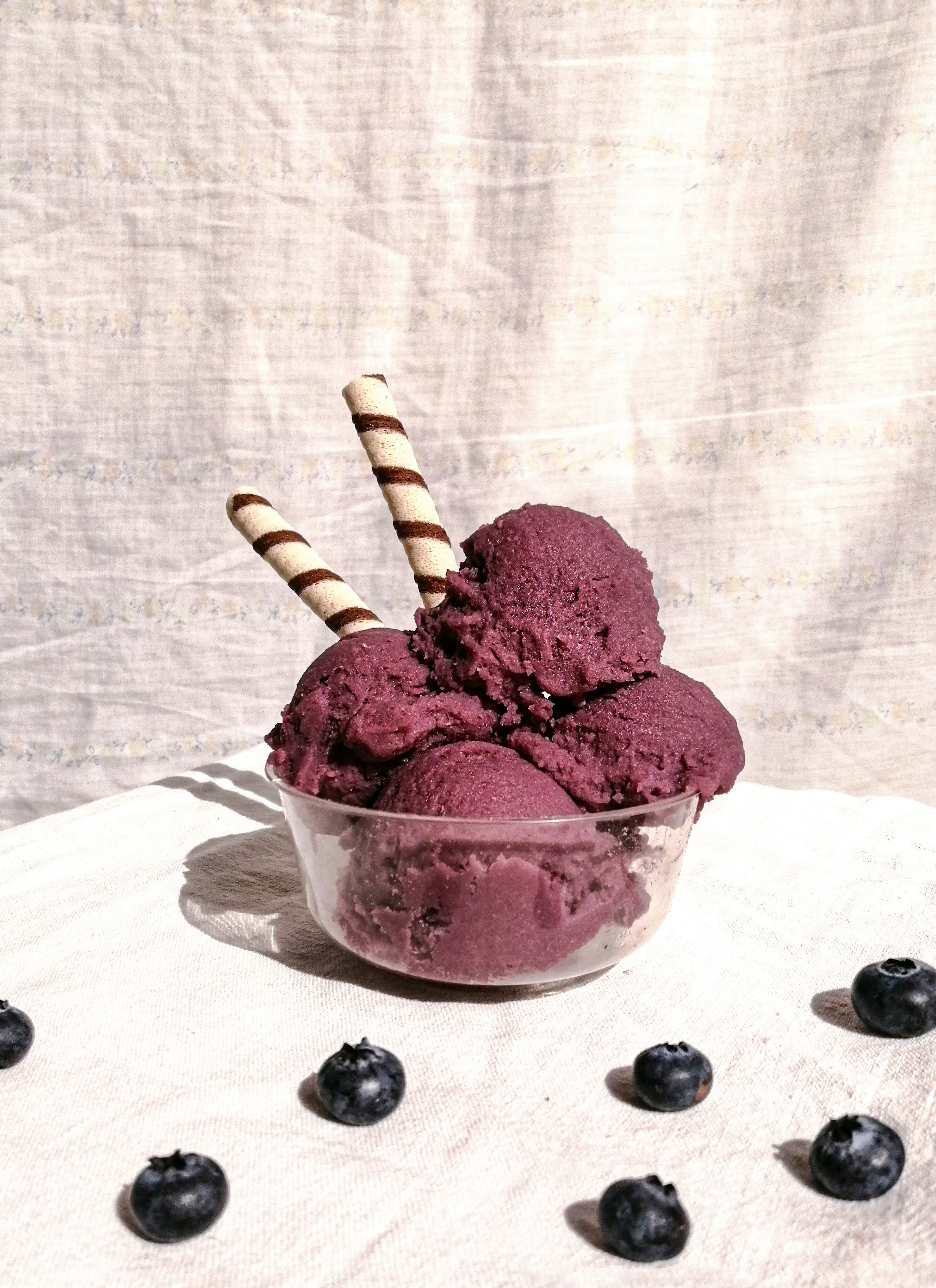 Sorvete Proteico Nutriice