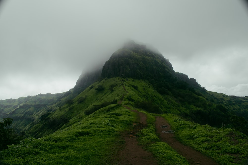 green grass field on mountain