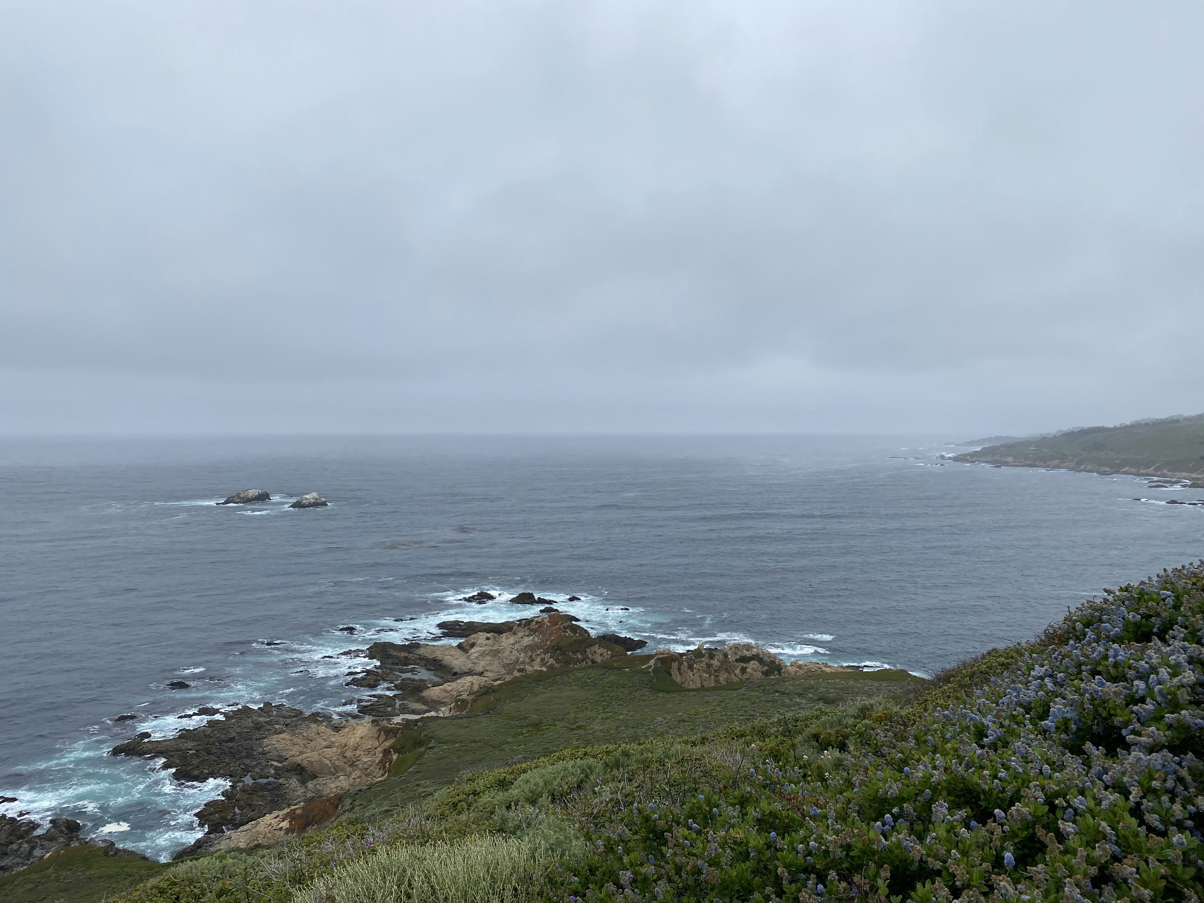 green grass field near body of water during daytime
