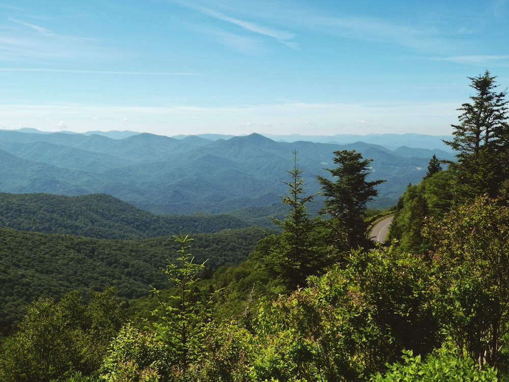 green trees on mountain under blue sky during daytime