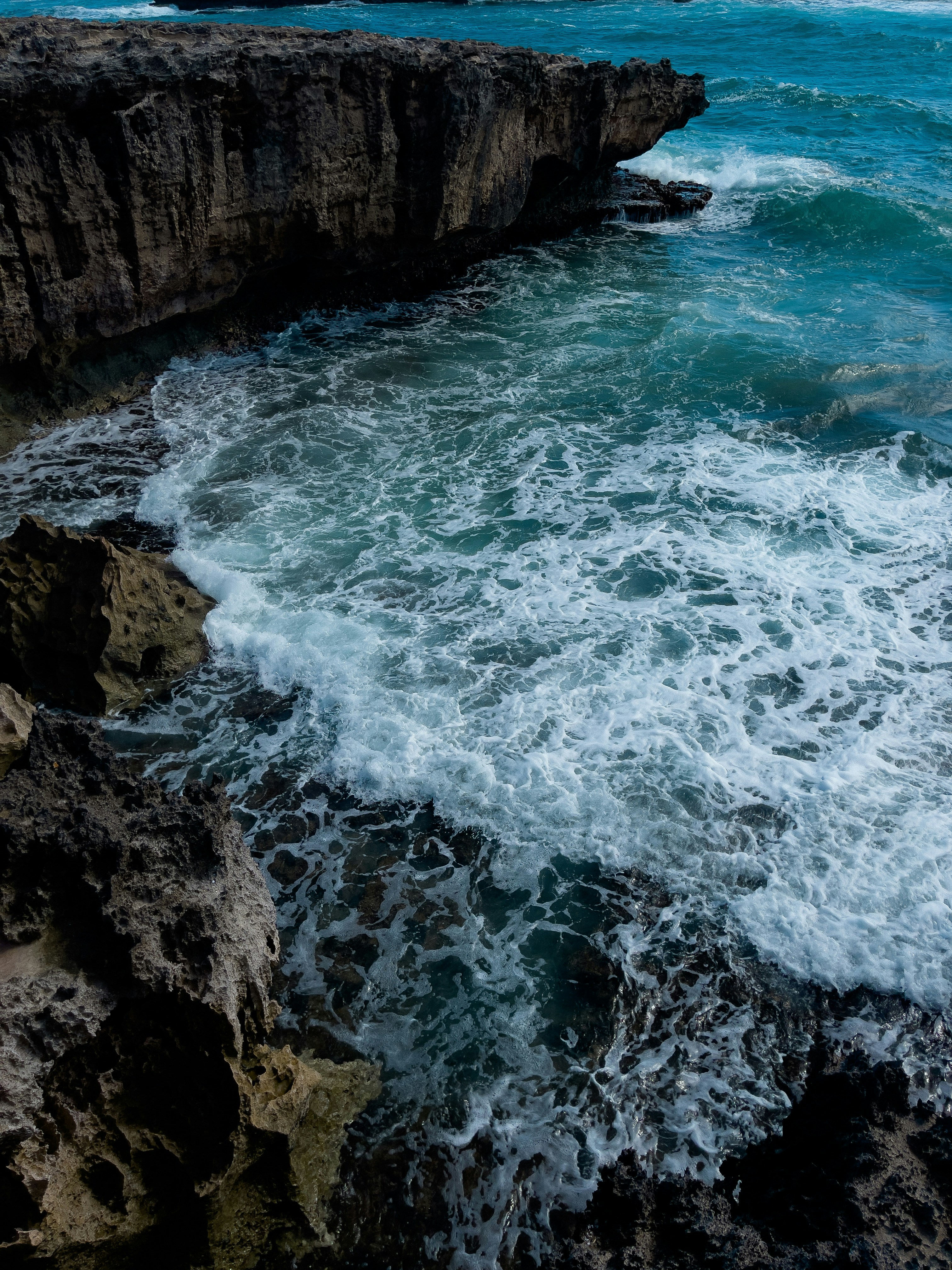 Photo by idontknowicee