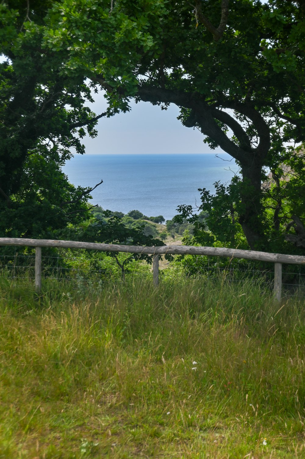 green grass field near body of water during daytime