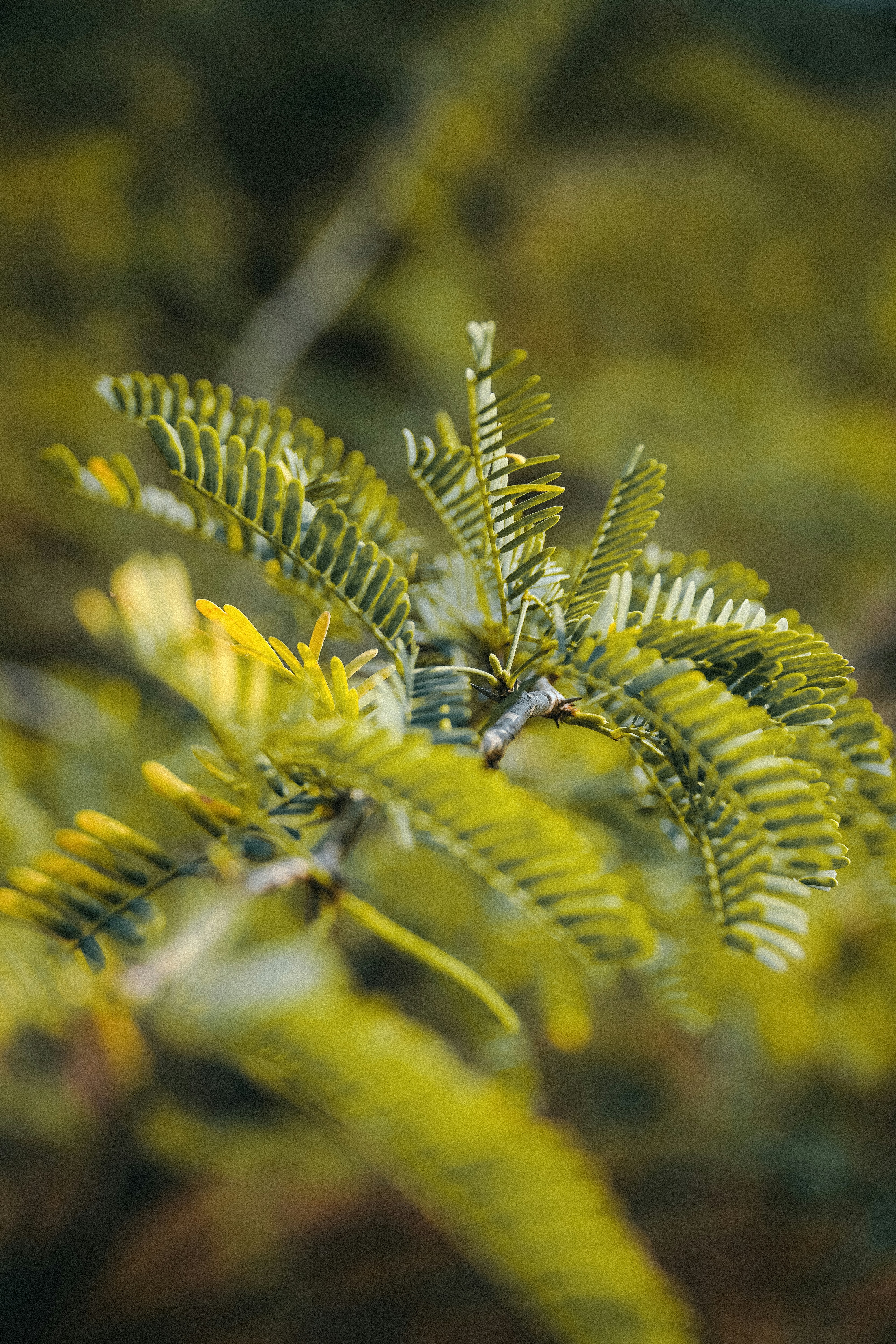 Photo by its_arunprakash