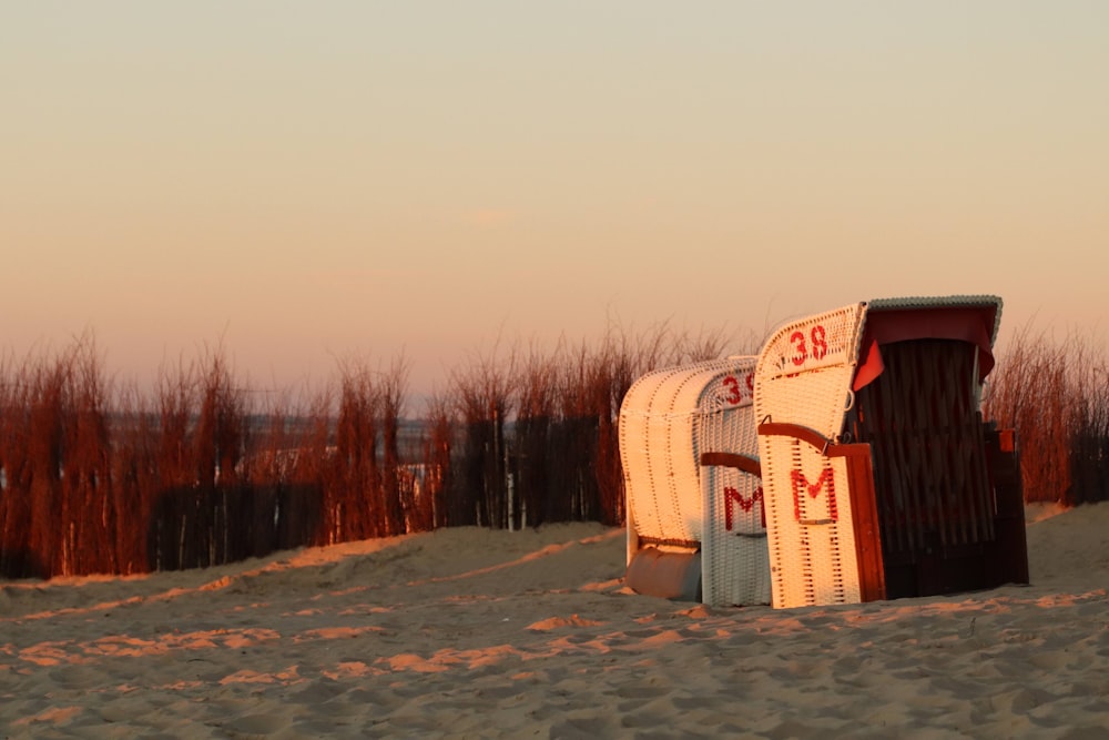 red and white shed near bare trees during daytime