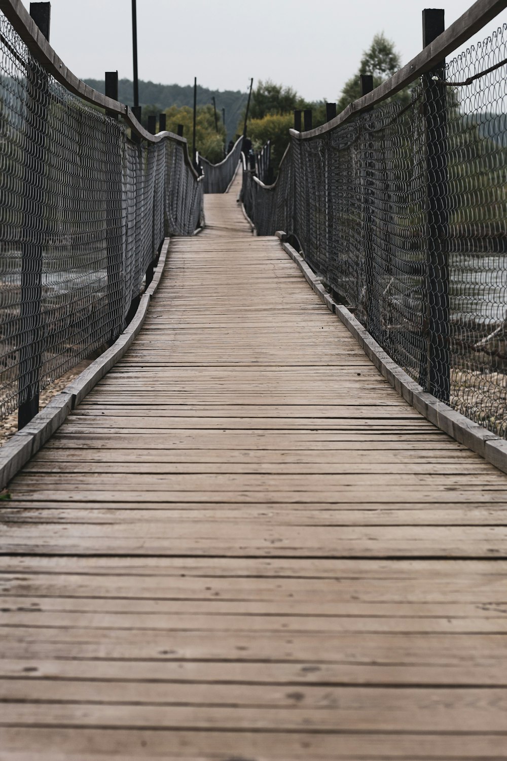 brown wooden bridge with black rope