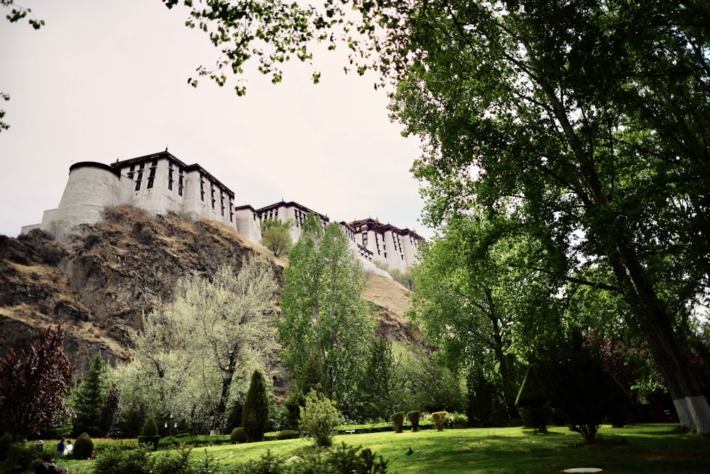 green trees near brown mountain during daytime