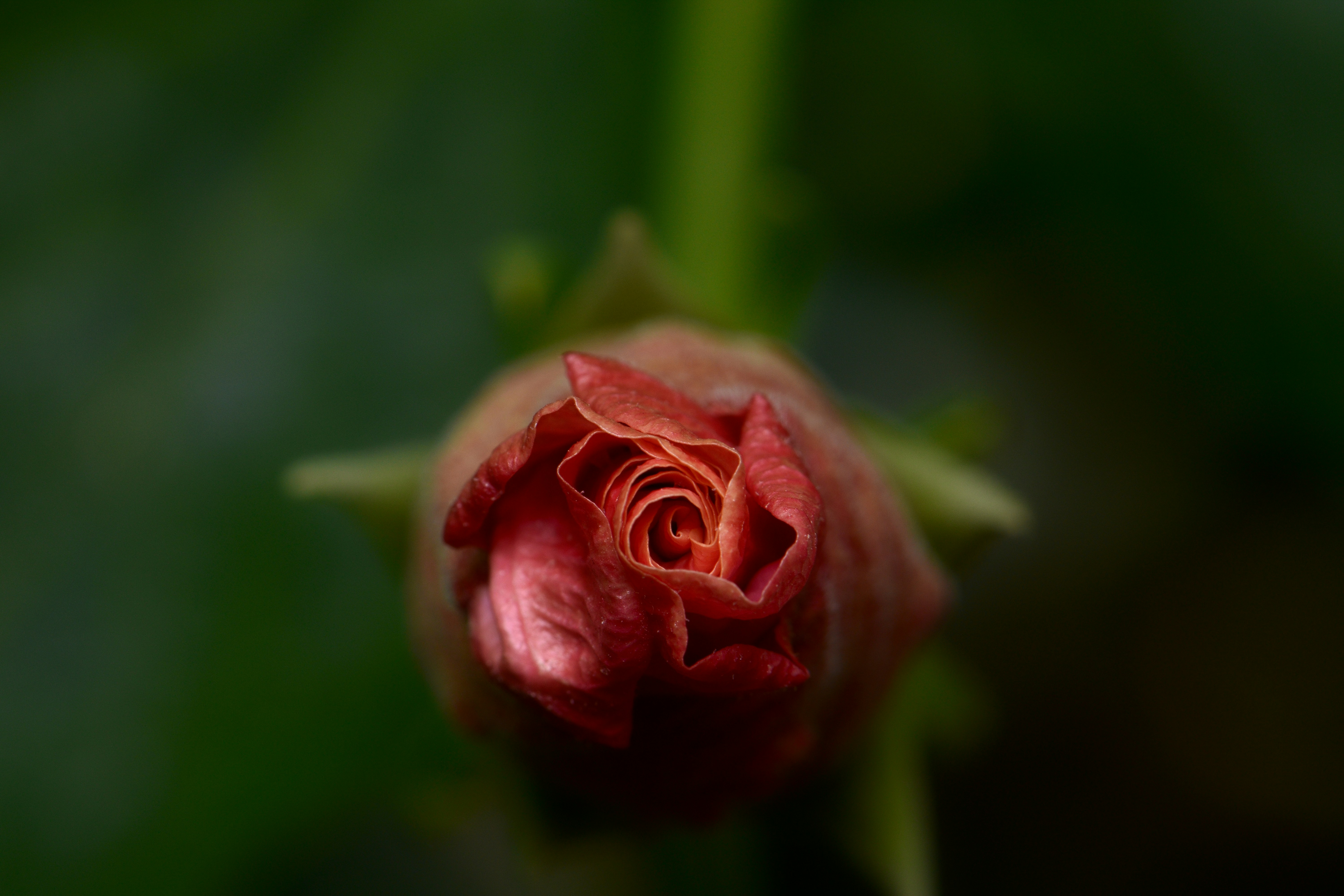 Photo by karimelmissiry