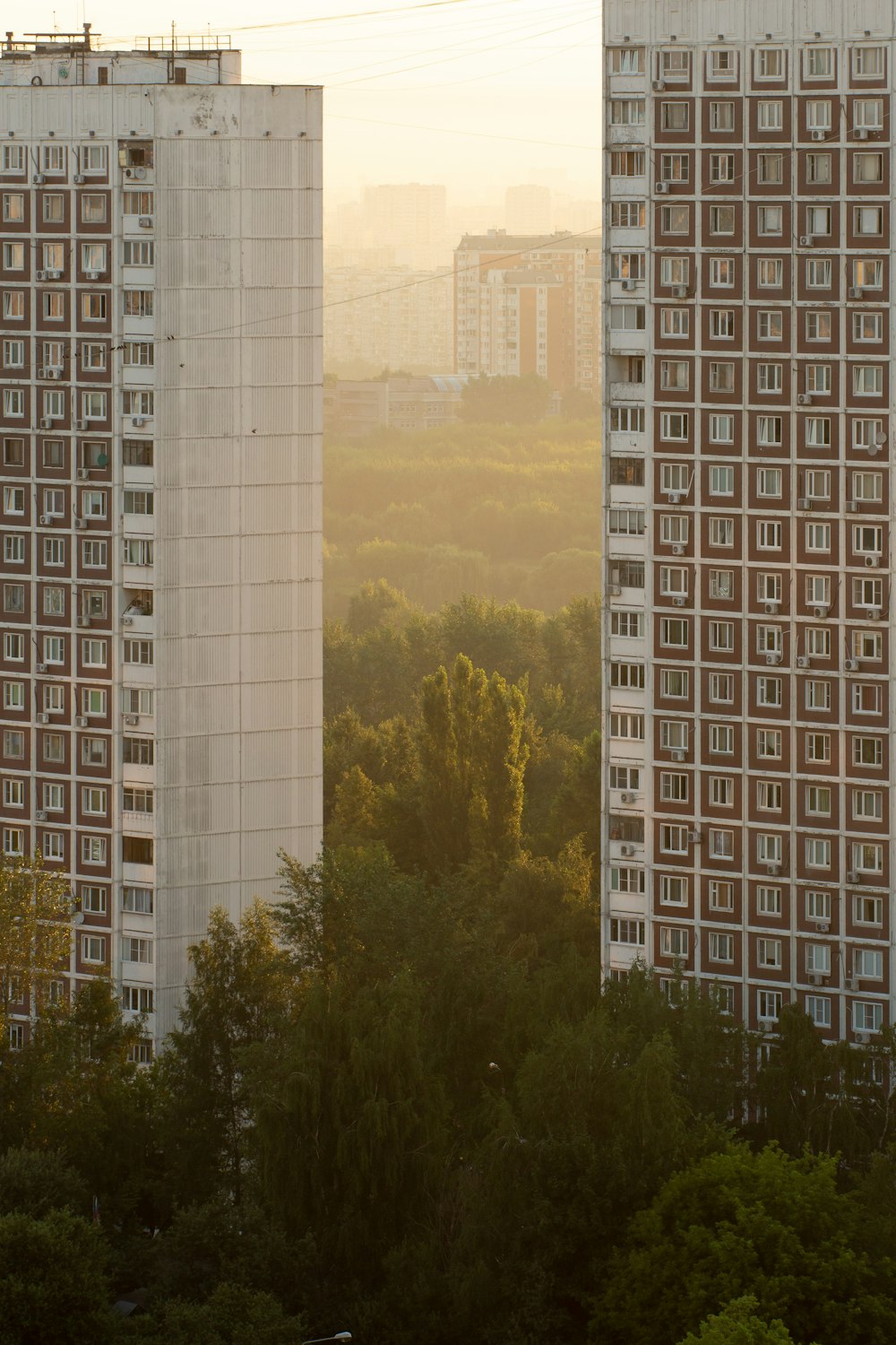 white concrete building near green trees during daytime