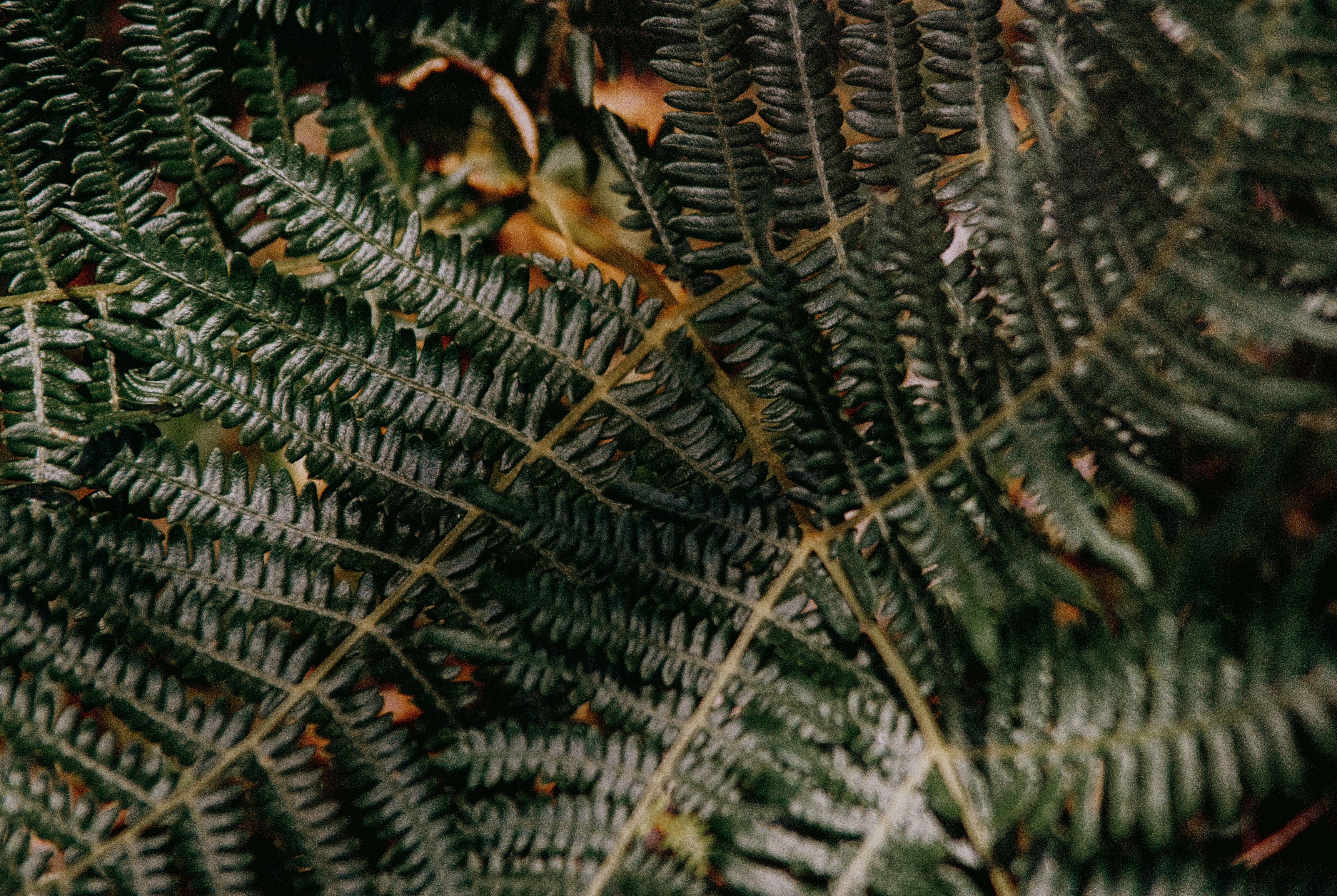 Photo by anniespratt