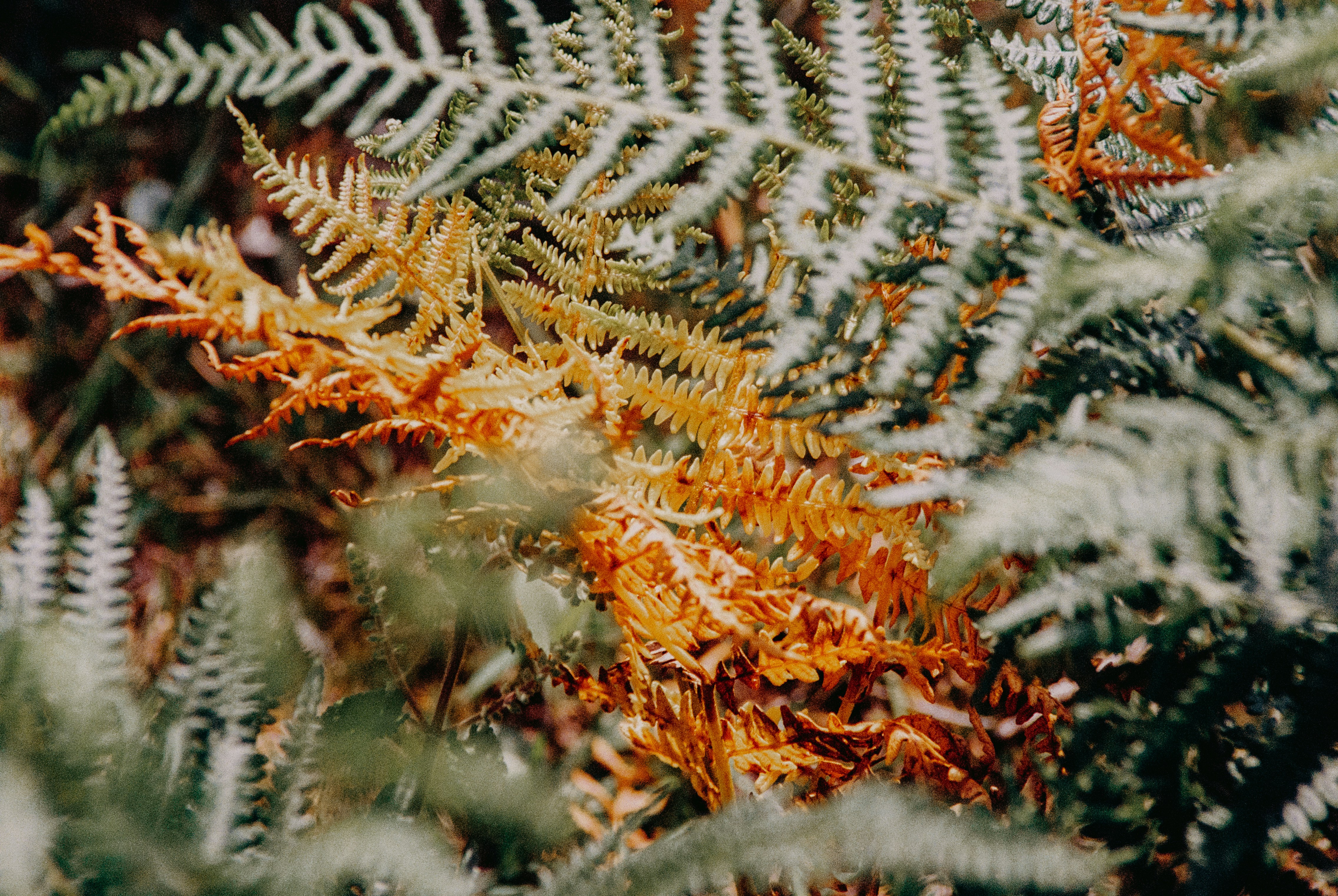 Photo by anniespratt