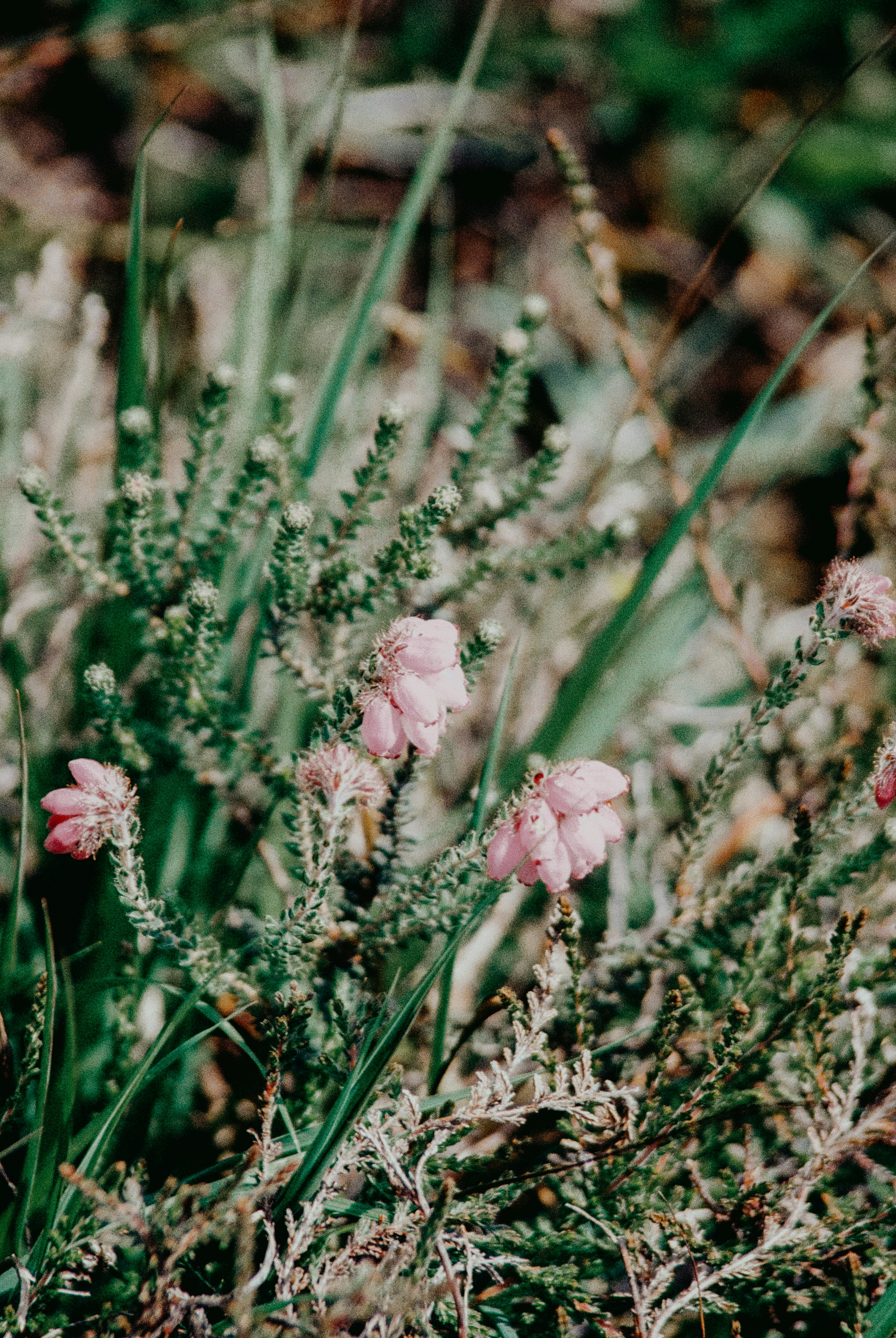 Photo by anniespratt