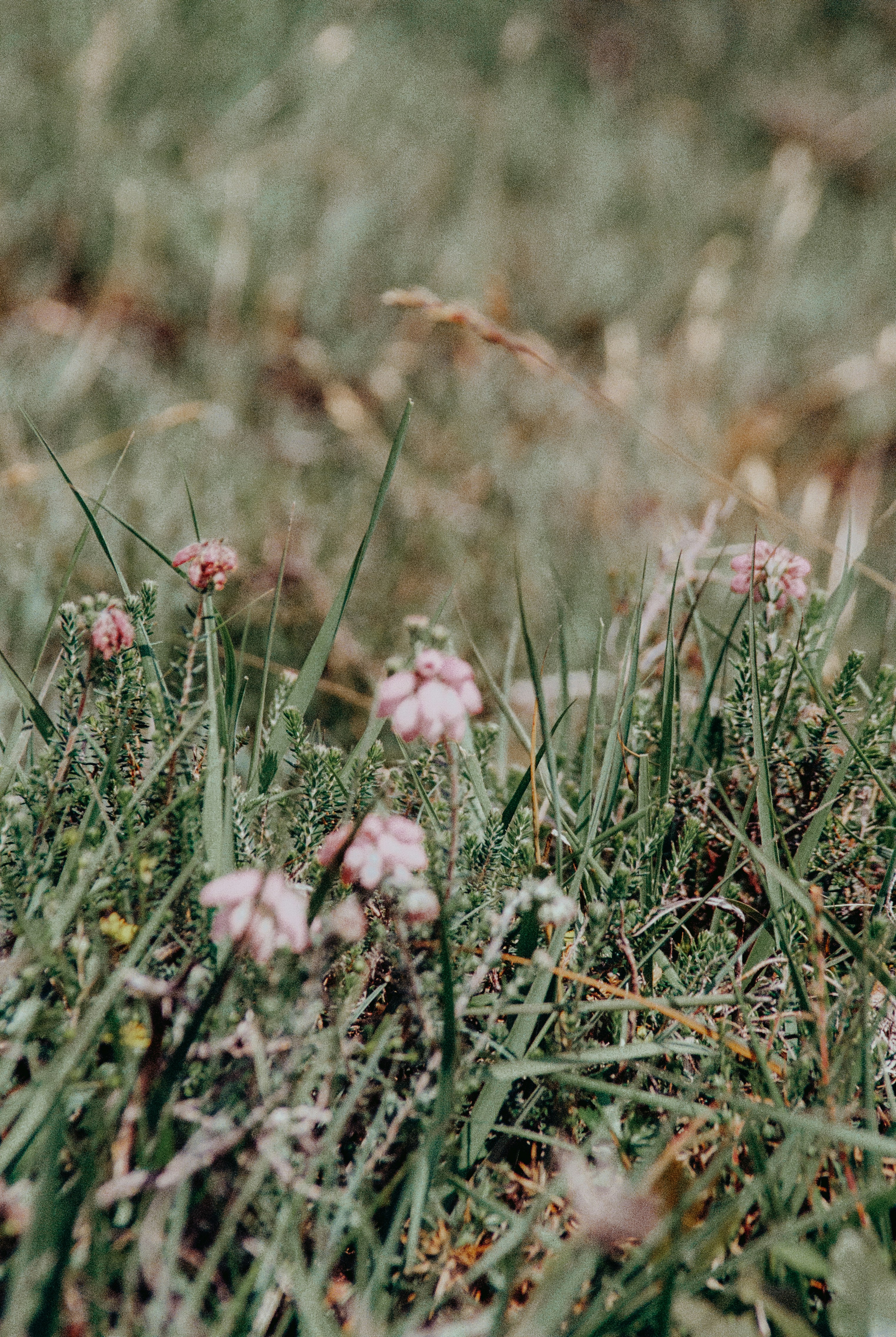 Photo by anniespratt