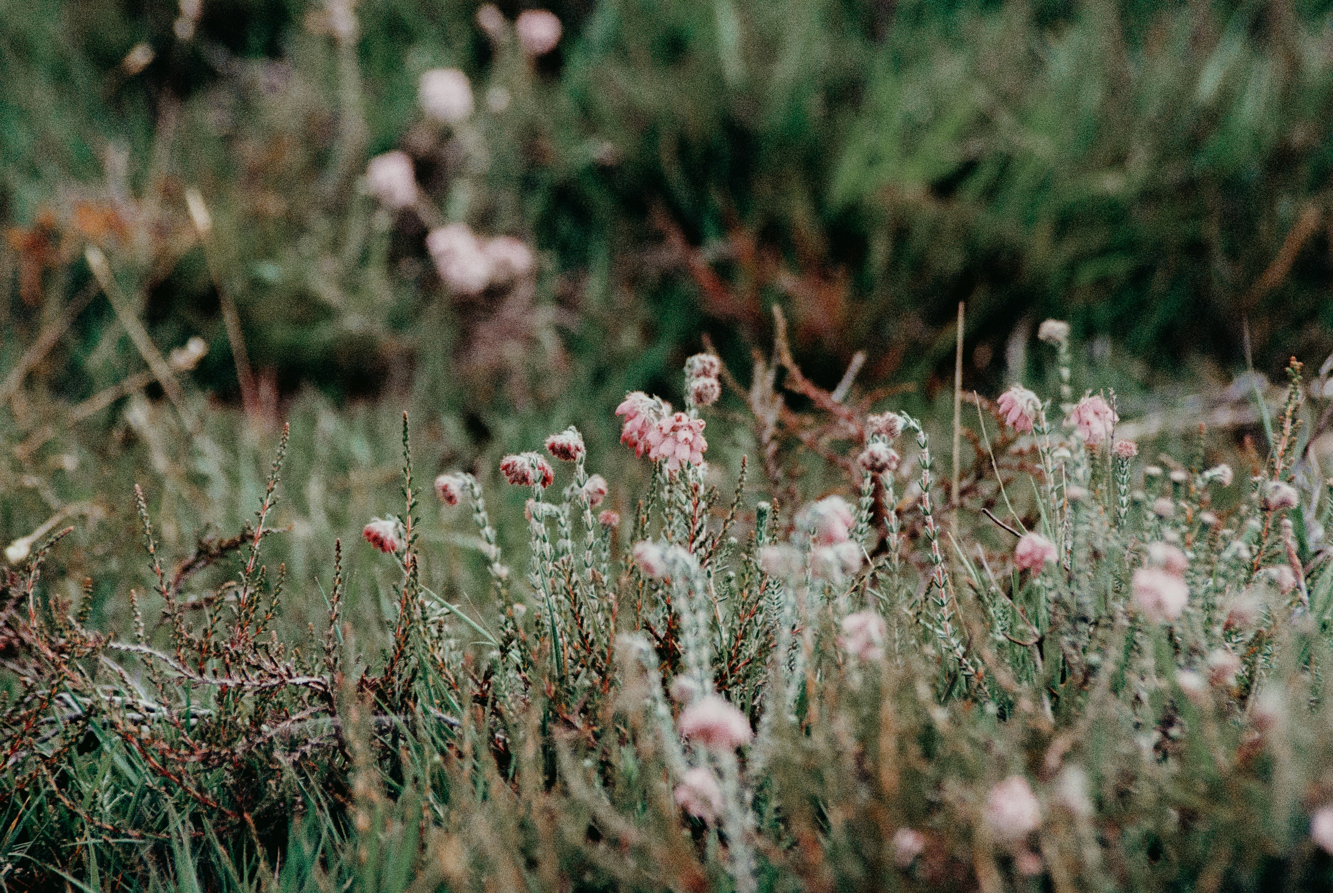 Photo by anniespratt