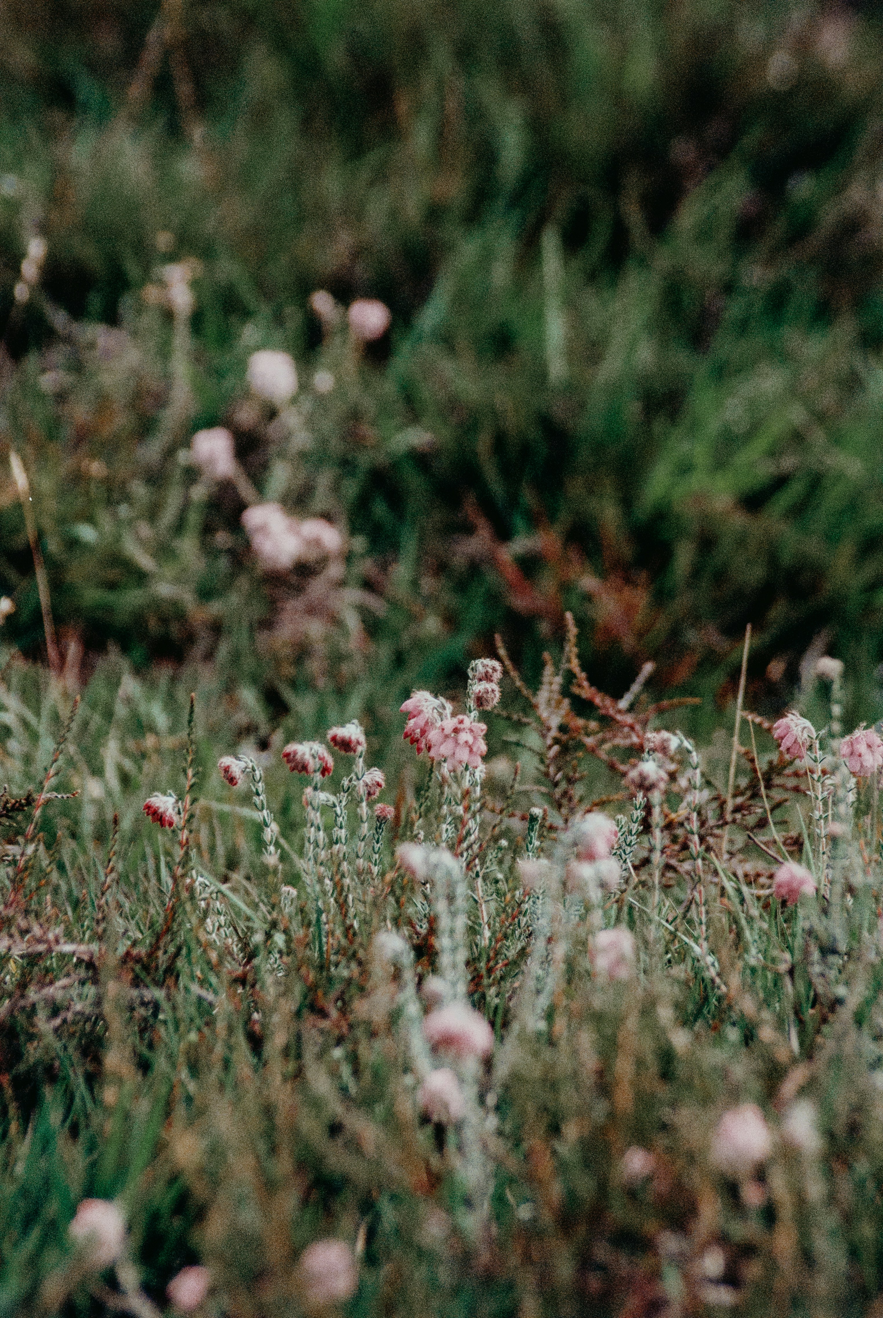 Photo by anniespratt