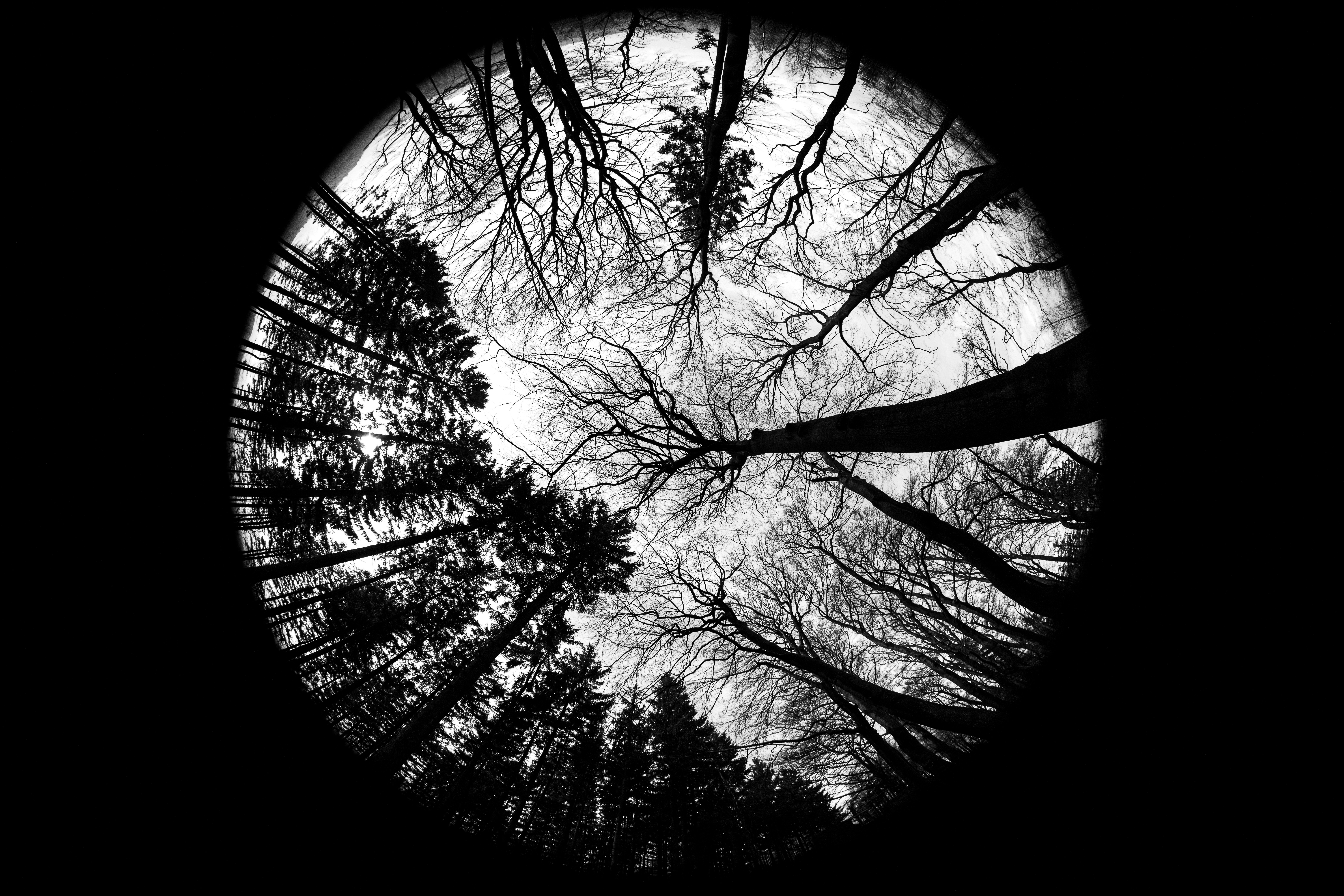 Photo by wilhelmgunkel