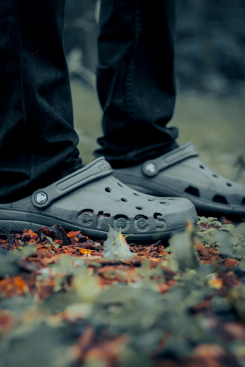 Crocs Pictures | Download Free Images on Unsplash