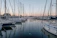 white sail boats on sea during daytime
