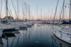 white sail boats on sea during daytime