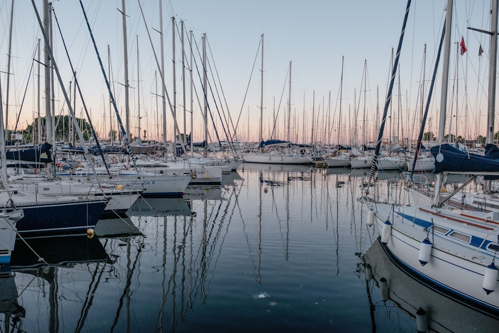 white sail boats on sea during daytime