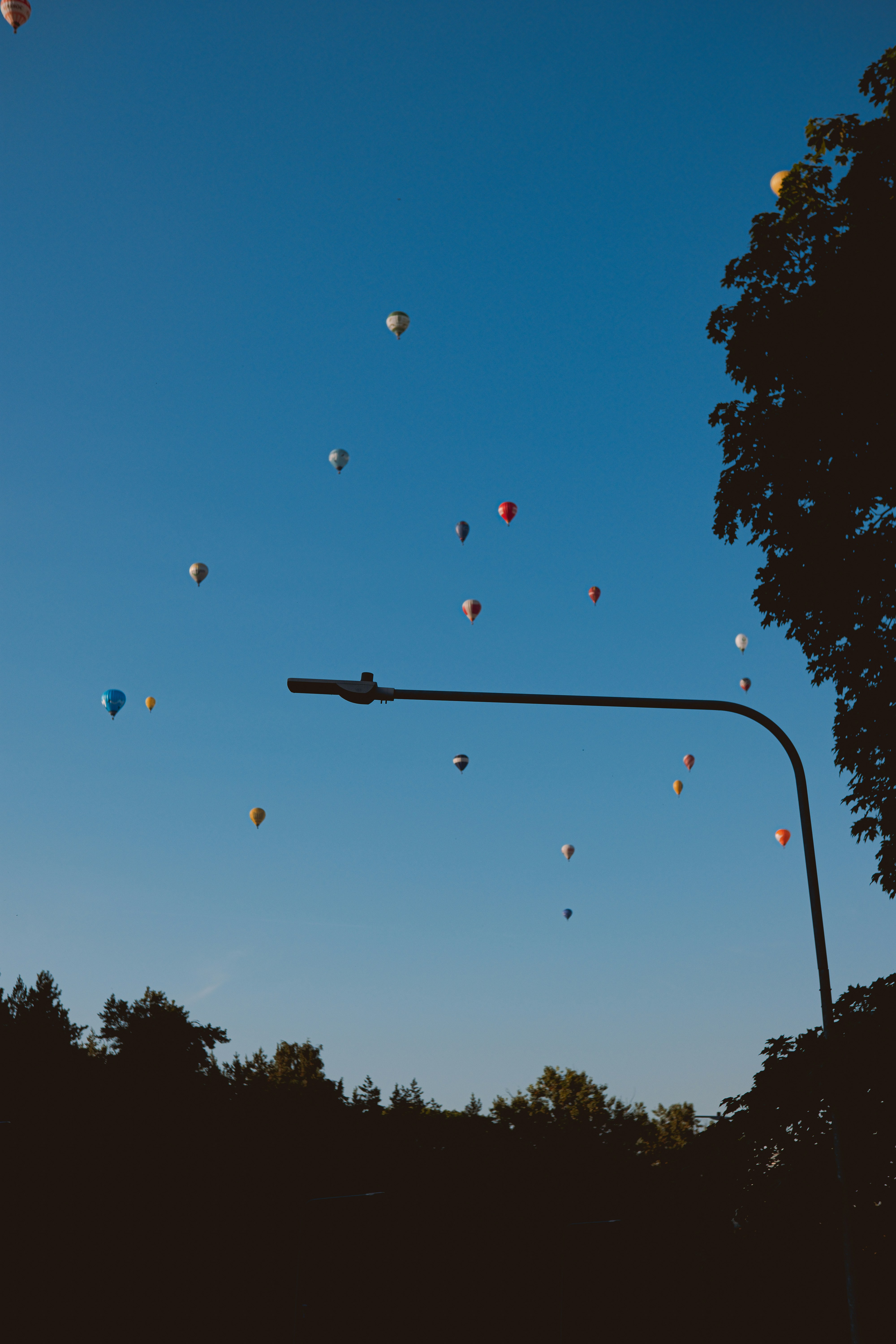 silhouette of trees under blue sky during daytime