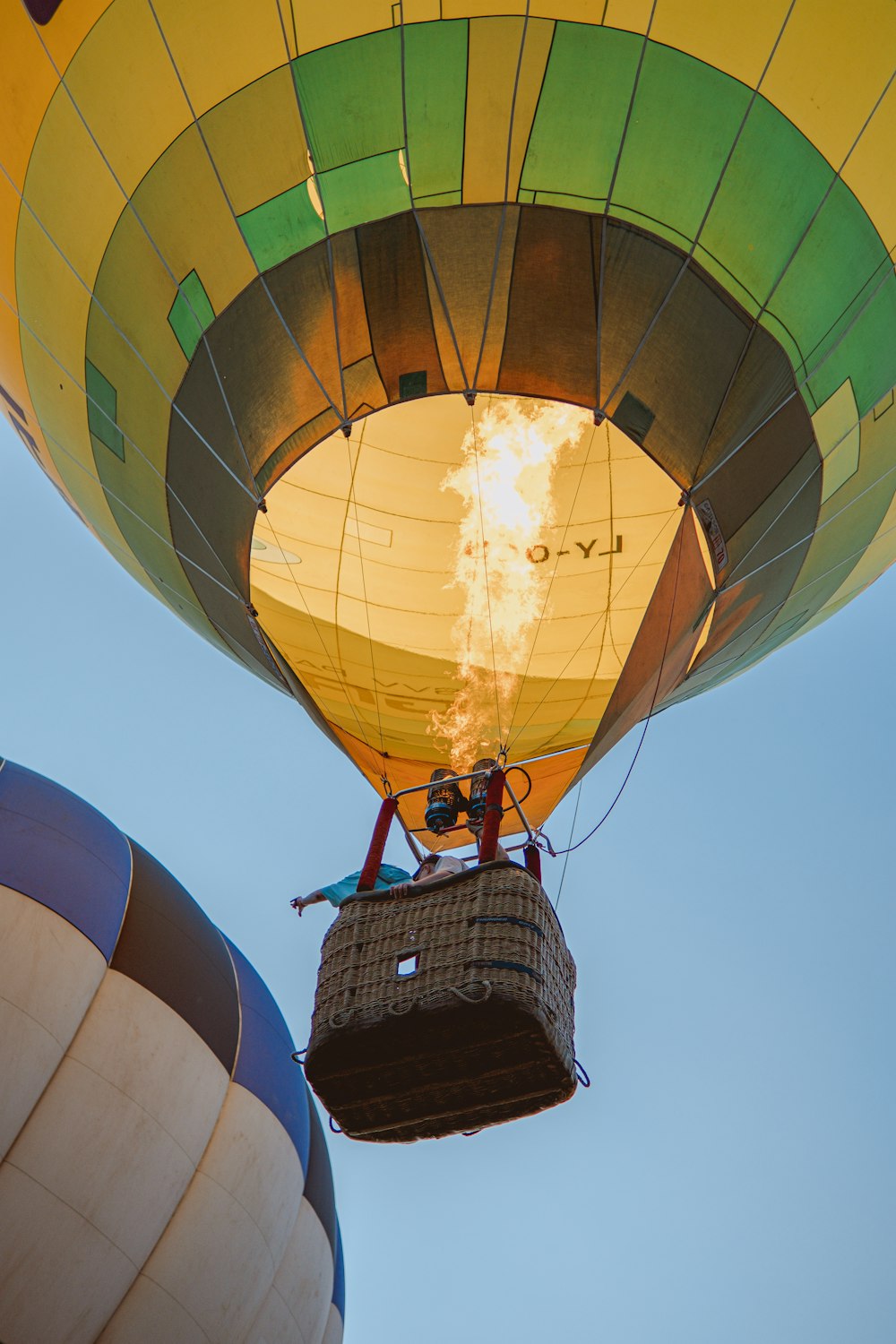 blue and white hot air balloon