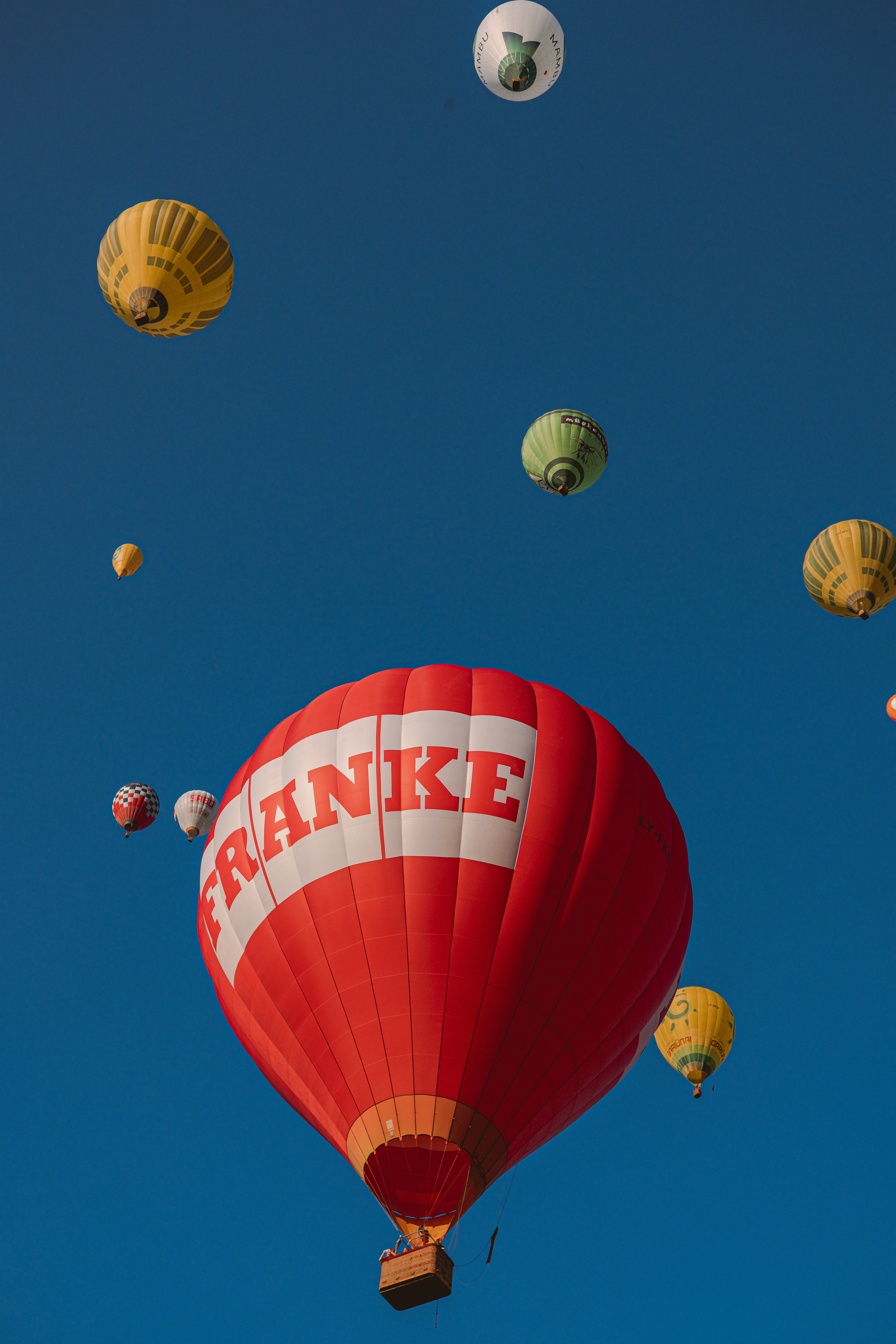 hot air balloons in the sky