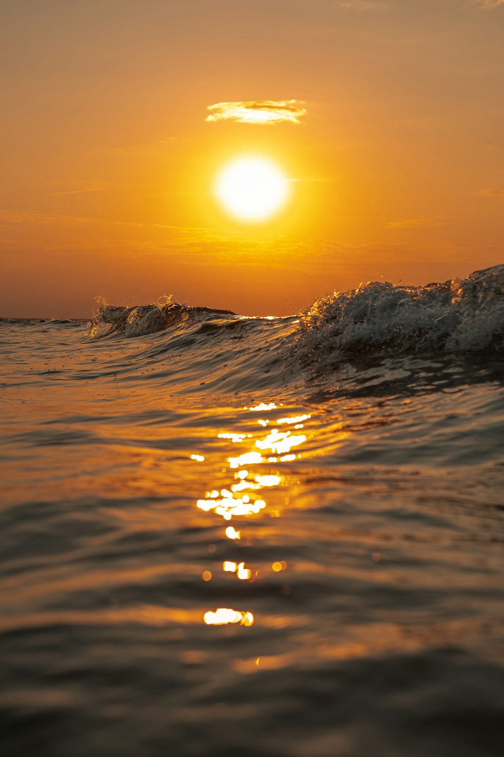 body of water during sunset