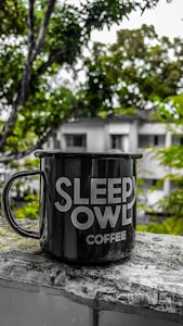 Night Owl Mug