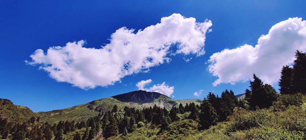 green trees on mountain under white clouds and blue sky during daytime