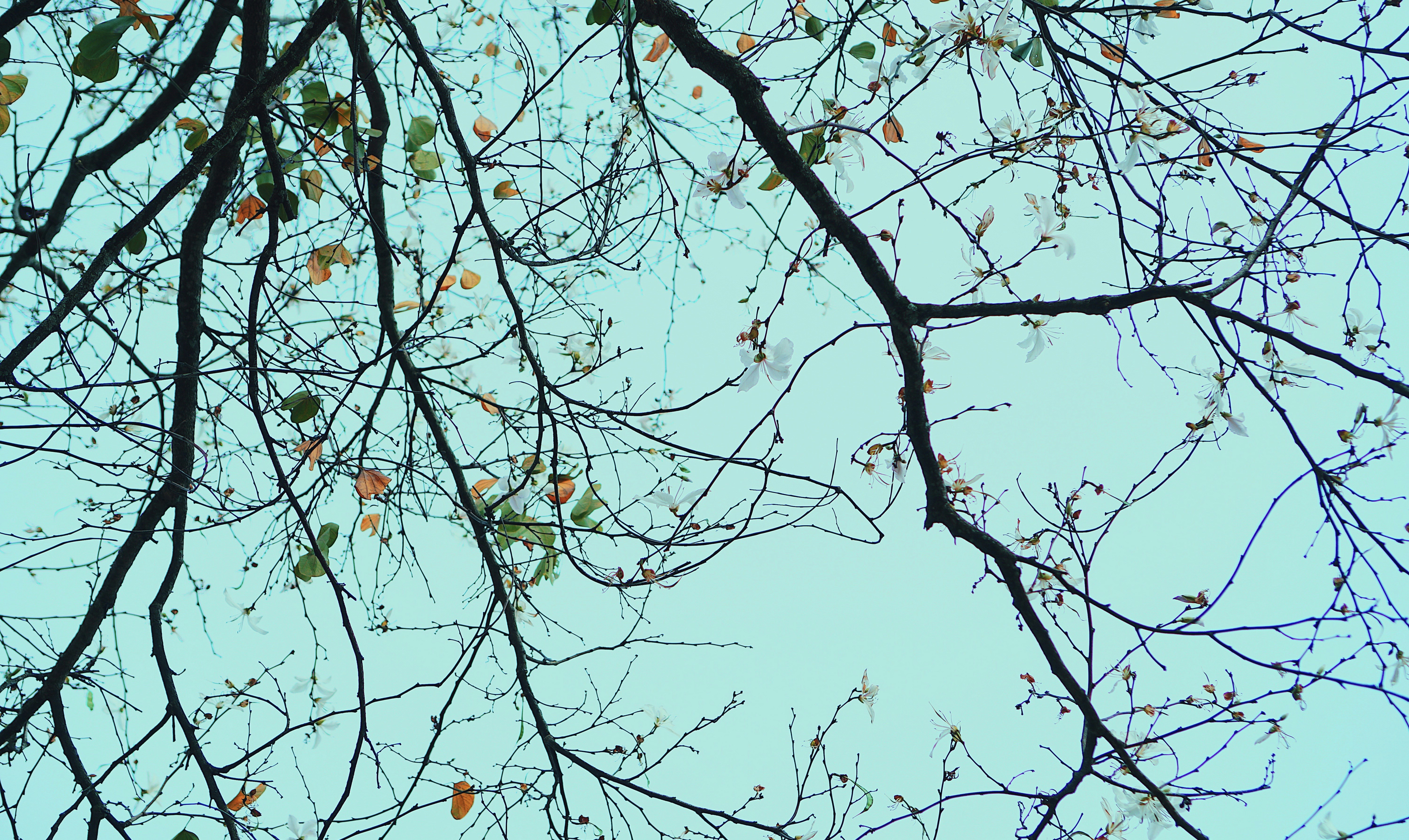 Photo by bythelittletree