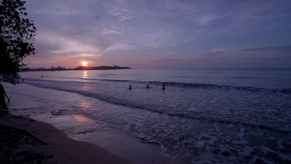 people on beach during sunset