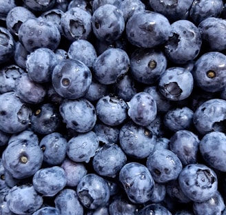 blue berries on white background