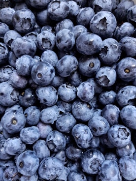 blue berries on white background