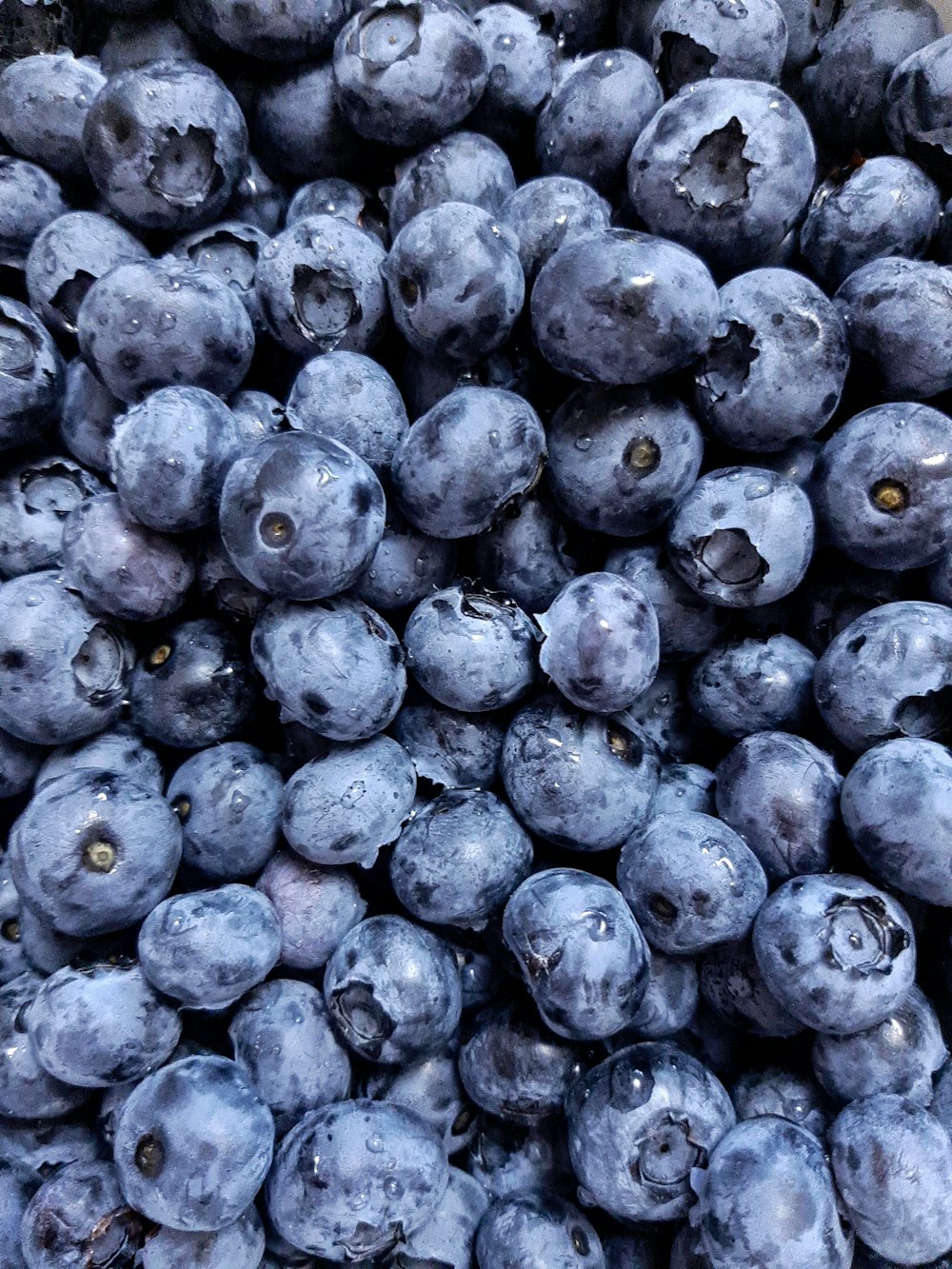 白い背景に青い果実
