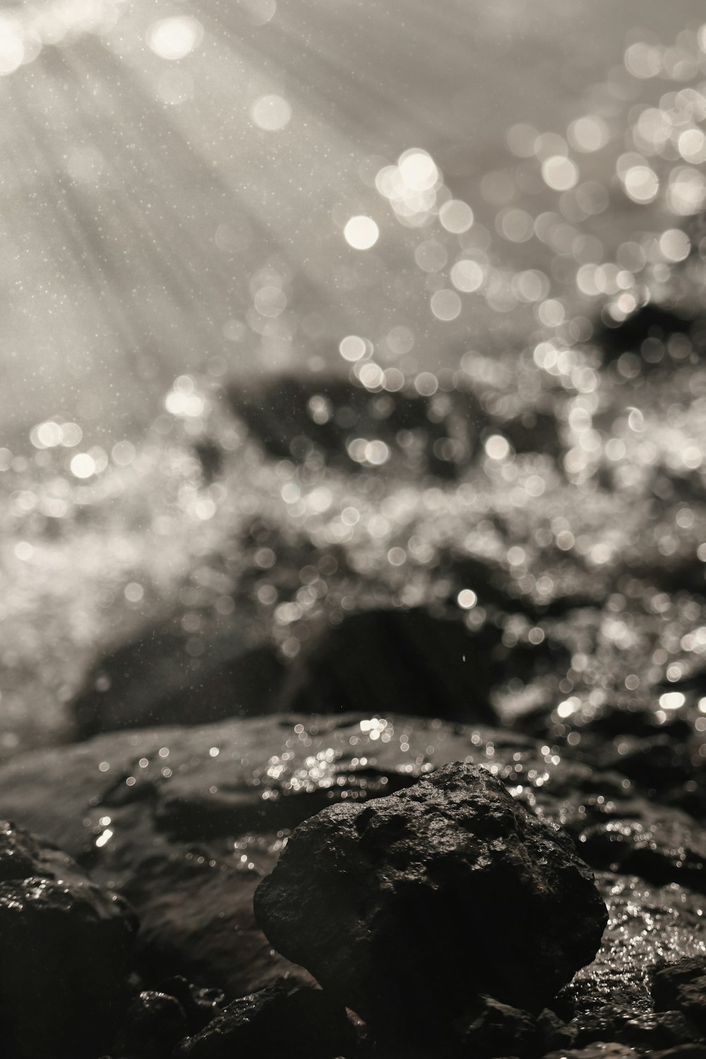 water splash in close up photography