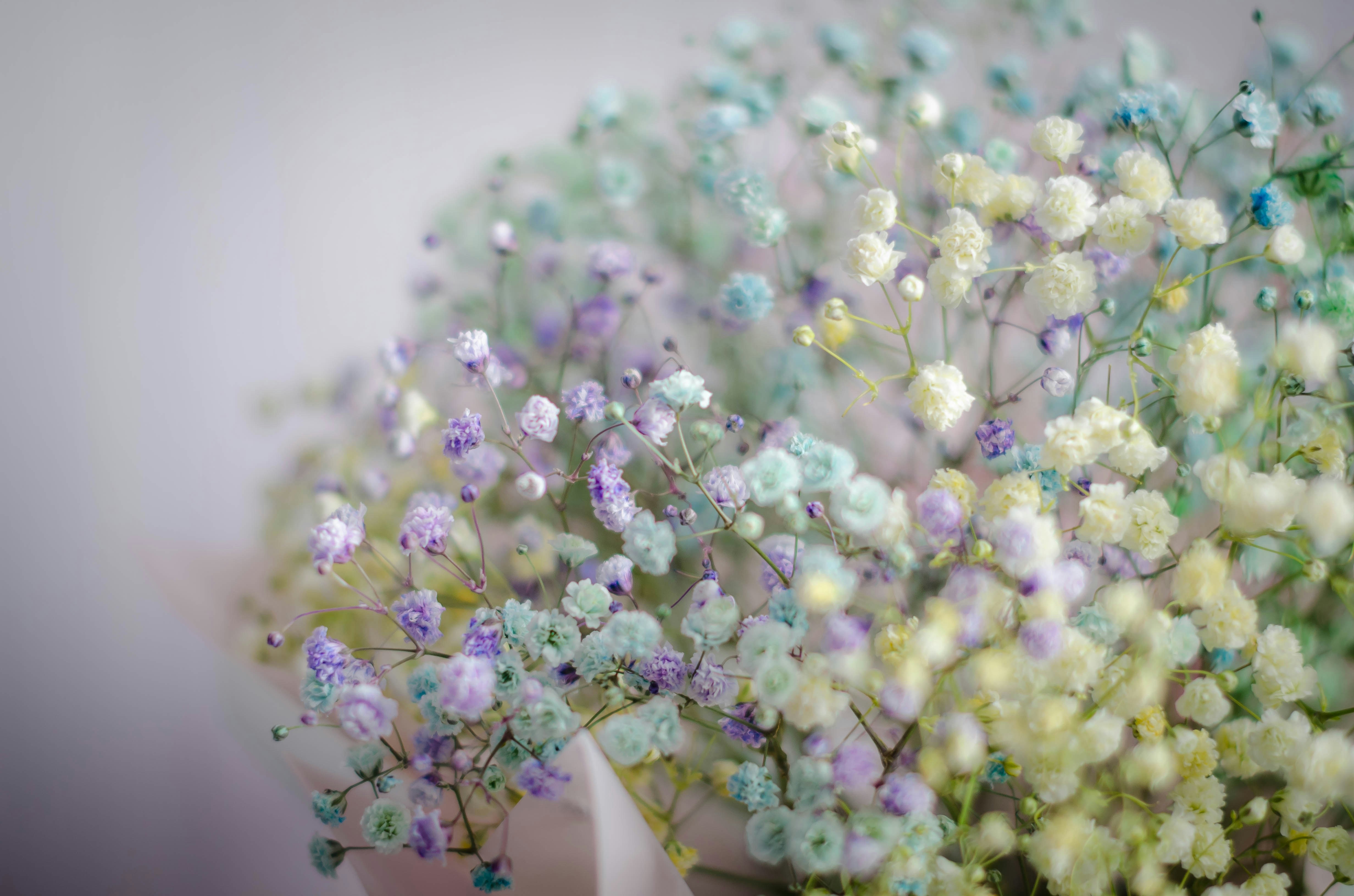 Photo by nika_benedictova