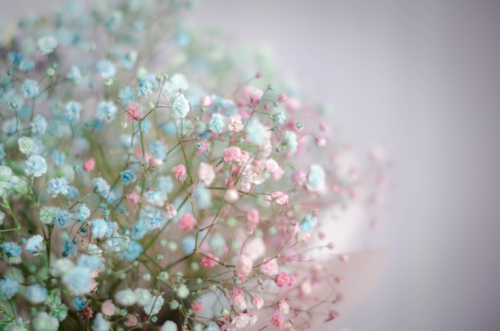 white and pink flowers in tilt shift lens