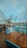 A waterfront dining area features a round wooden table surrounded by blue chairs. In the background, there is a large Ferris wheel and a calm body of water with boats. Overhead strings of lights stretch across, enhancing the cozy ambiance. A potted palm plant adds a touch of greenery.