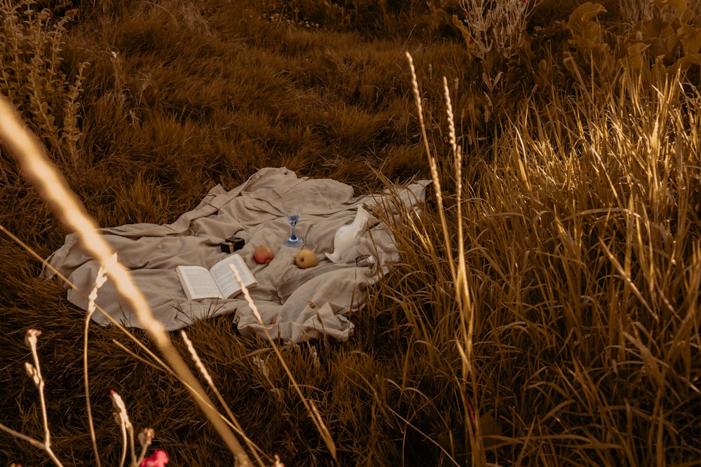 white plastic bags on brown grass field