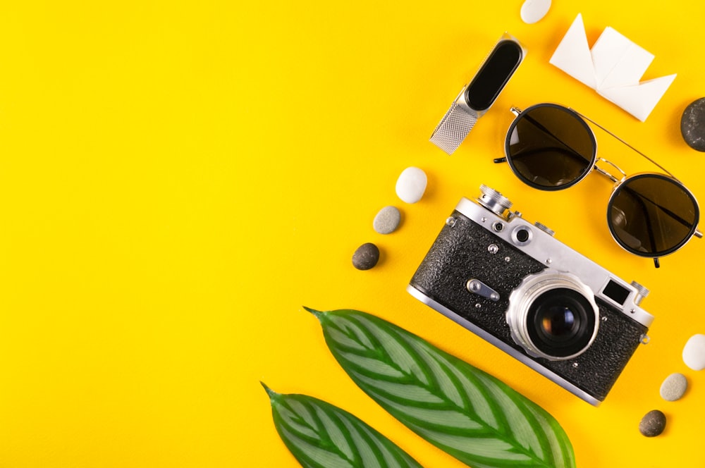 black and silver camera on yellow and green leaves