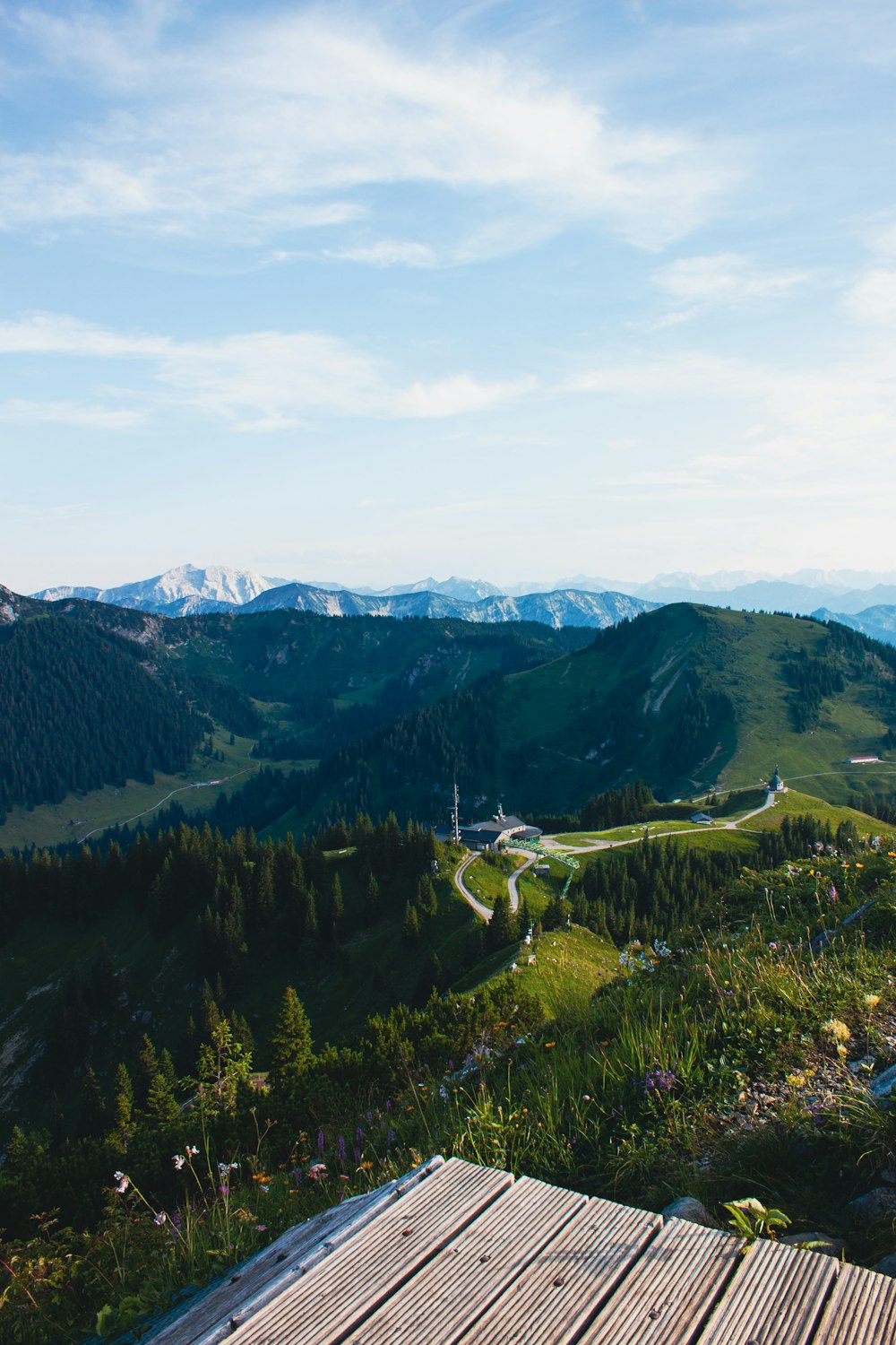 green trees on mountain under white clouds during daytime