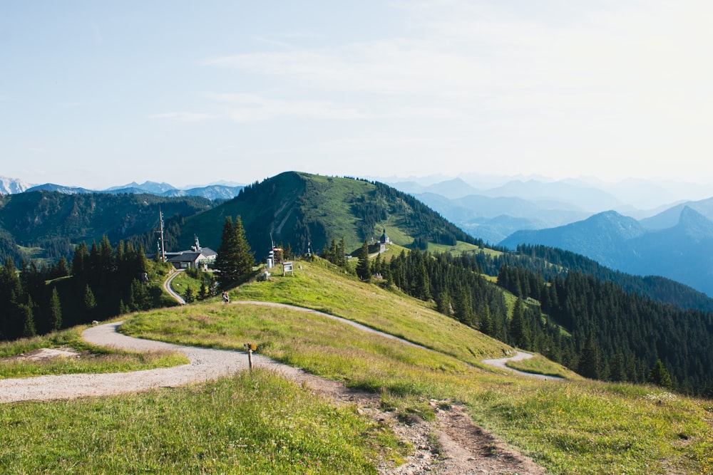 green grass field and green trees on mountain during daytime